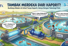 TAMBAK MERDEKA DARI KAPORIT DAN BAHAN KIMIA BERBAHAYA: FisTx Disinfection System Hadirkan Standar Baru Budiday