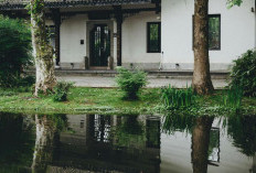 Tips Mengatasi Banjir di Rumah Sebelum Terlambat