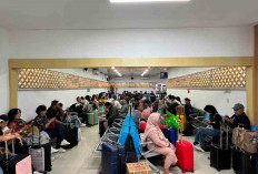 KAI Bandara Layani 84 Ribu Penumpang Selama Libur Maulid Nabi, Mobilitas Masyarakat Tetap Lancar