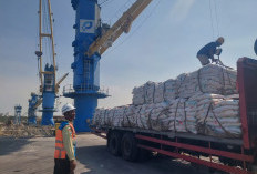 Perkuat Logistik Jawa Timur, Kinerja Pelabuhan Gresik Tumbuh Positif di Semester I - 2026
