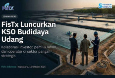 FisTx Indonesia Luncurkan KSO Budidaya Udang, Pertemukan Investor, Pemilik Lahan, dan Operator Berpengalaman