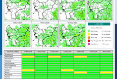 BMKG Kalbar Rilis Potensi Hujan Harian 12–18 Maret 2026