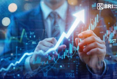 Konsistensi BRI MI sebagai pengelola Reksa Dana Campuran Terbesar di Indonesia