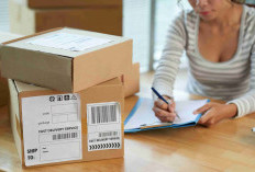 Panduan Lengkap Pengiriman Paket ke Luar Negeri untuk Pemula