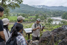 Menggeliat Lewat Rel Kereta: Menakar Wajah Baru Pariwisata dan Ekonomi Kebumen