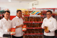 Holding Perkebunan Nusantara Perkuat Kontribusi Ketahanan Pangan, Peluang Sinergi dengan Koperasi Desa
