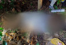 Ibu dan Anak Ditemukan Meninggal di Kuala Behe Landak, Polisi Lakukan Penyelidikan