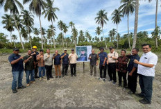 Holding Perkebunan Nusantara Kembangkan Hilirisasi, PTPN I Fokus Replanting di Pulau Seram