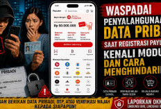 Waspadai Penyalahgunaan Data Pribadi saat Registrasi Paylater, Kenali Modus dan Cara Menghindarinya