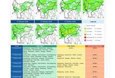 BMKG Kalbar Rilis Potensi Hujan Harian 9–15 Oktober 2026