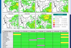 BMKG Kalbar Rilis Potensi Hujan Harian 26 Februari–4 Maret 2026