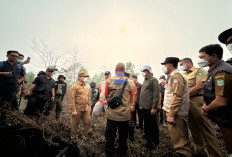 Ria Norsan Pastikan BTT Diprioritaskan untuk Penanganan Karhutla