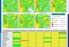 BMKG Rilis Potensi Hujan Harian di Kalimantan Barat 19–25 November 2025