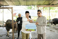 SUCOFINDO Tebar Semangat Berbagi melalui Penyembelihan Kurban Serentak di Seluruh Indonesia