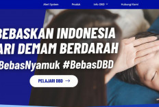 Marketing HIT: Perbedaan antara Menarik Perhatian dan Membangun Kampanye
